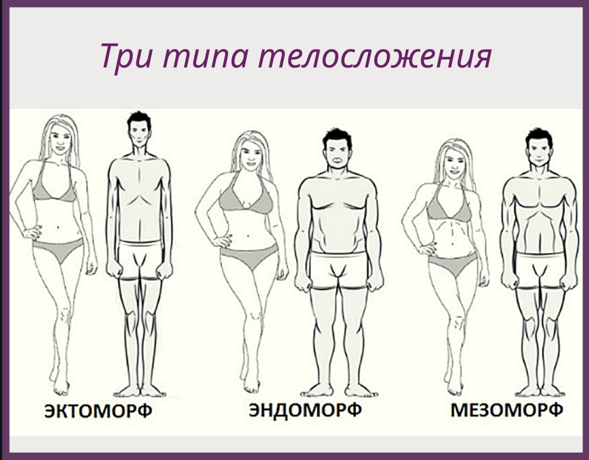 Для описания женских типов телосложения наиболее приемлема схема