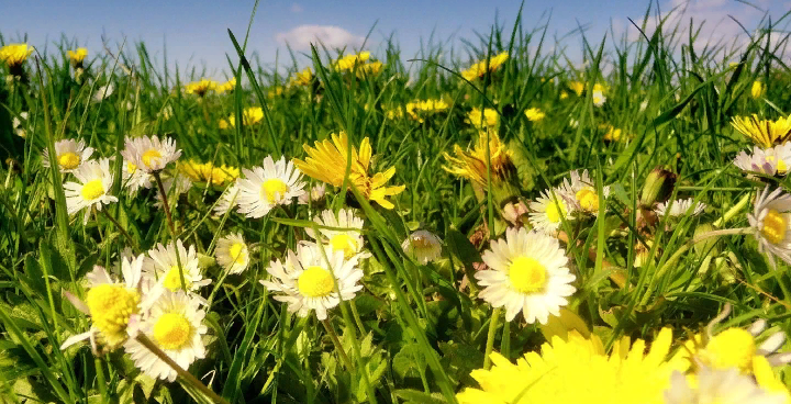 Без счастья нельзя