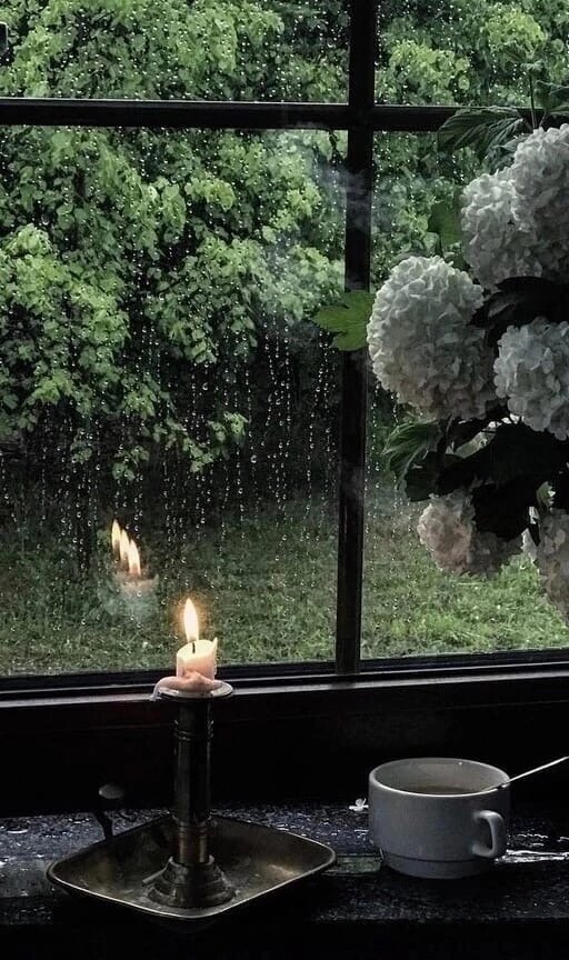 #ведьма #прогнознаиюль #джйотиш #астролог 