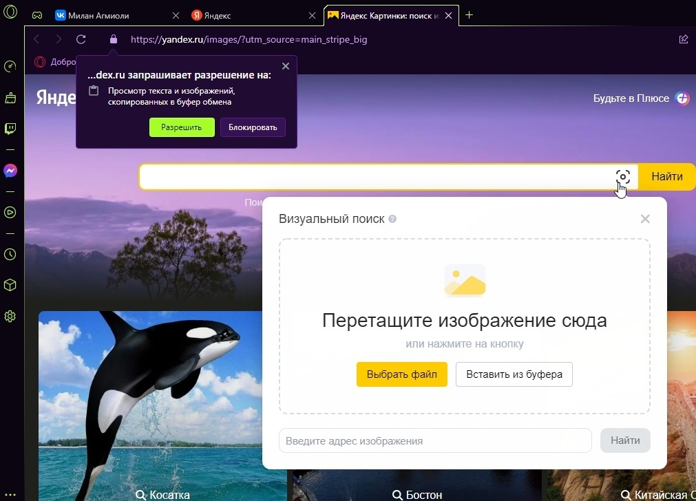 Исчезли на дзене мессенджер сообщение