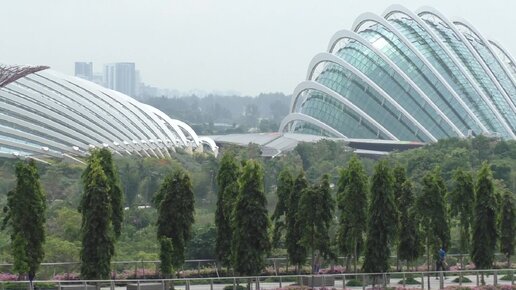 Номер в отеле Marina Bay Sands