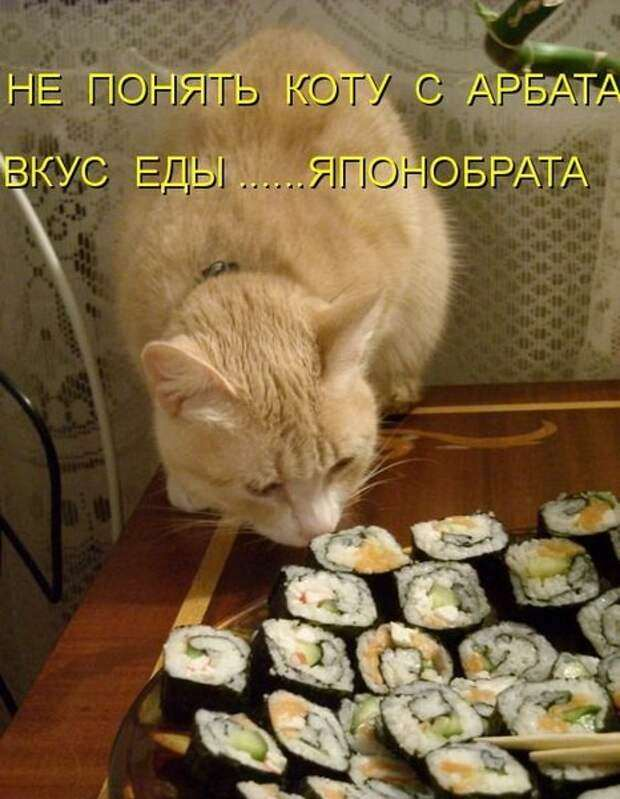 Ржачные картинки с подписями