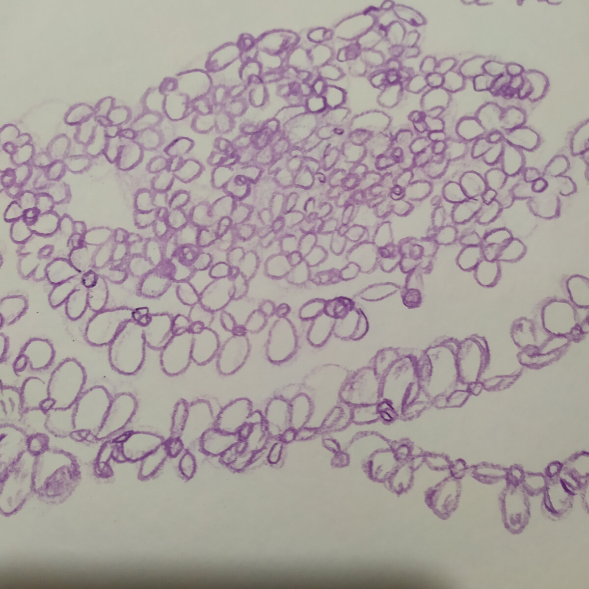 Цветут цветы в цветной Душе