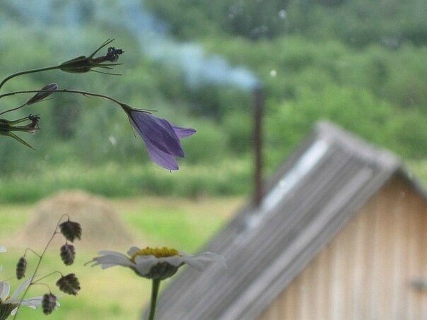Из окна деревенской мансарды