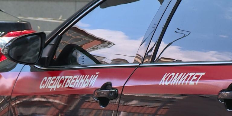 Фото: https://sledcom.ru/