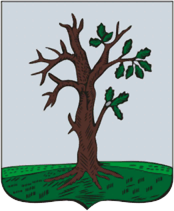Герб города Стародуба. Источник фото: http://www.mglin-krai.ru/radimichi-i-drevnyaya-rus/278-letopisnye-svidetelstva-o-radimichakh