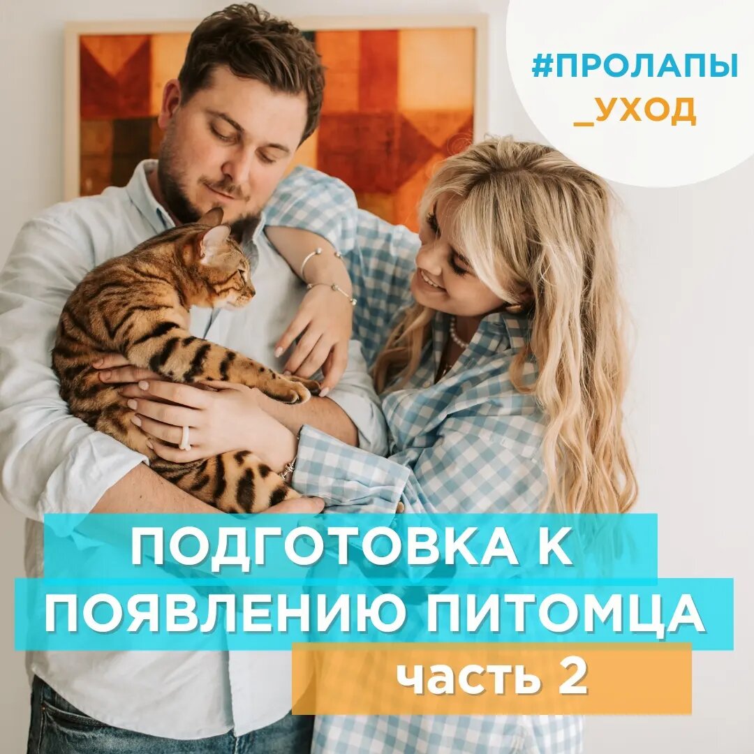 Как подготовиться к появлению домашнего животного, часть 2 | Фонд 