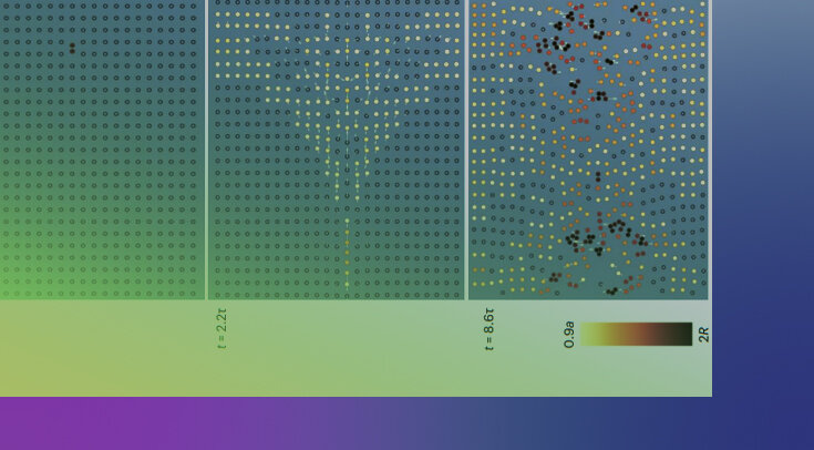   Tsvi Tlusty et al. / Nature Physics 2023