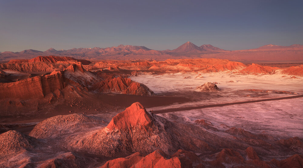   Фото: Shutterstock