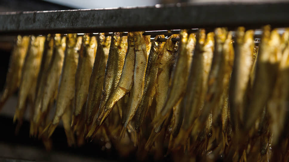    Фото: Александр Подгорчук / Коммерсантъ