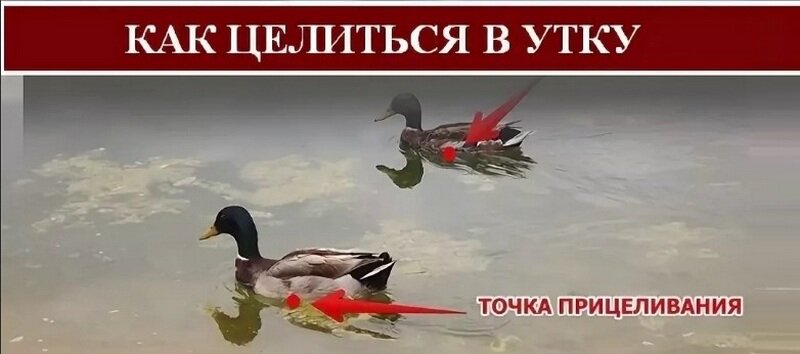 Как разобрать утку правильно