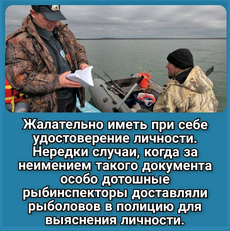 фото с ресурса Яндекс картинки