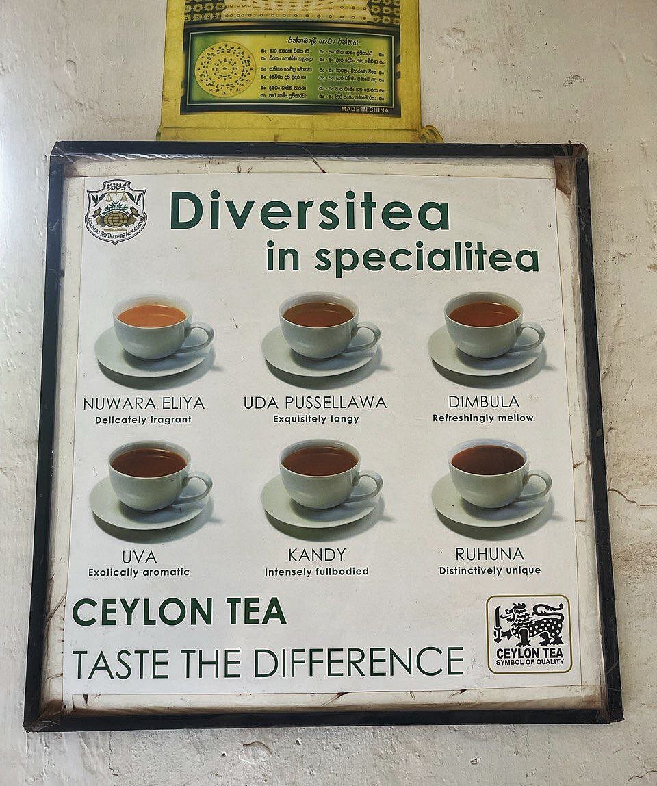 Характеристики чая из разных регионов Шри-Ланки