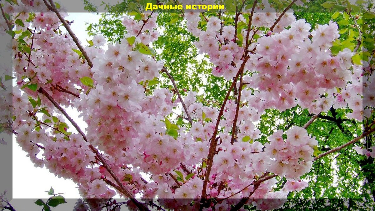 https://vk.com/album-159774511_262550147