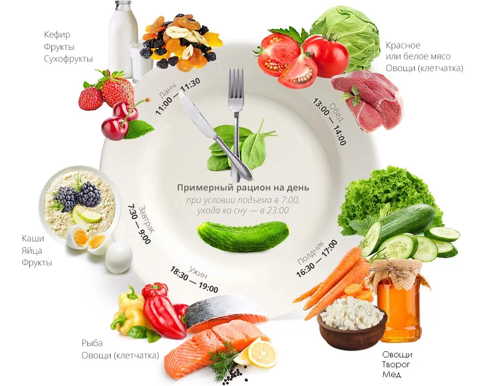 Примерный рацион правильного питания для похудения на каждый день. Как составить правильно рацион по питанию для снижения веса. Рацион дня правильного питания по времени. Схема ПП питания для похудения.