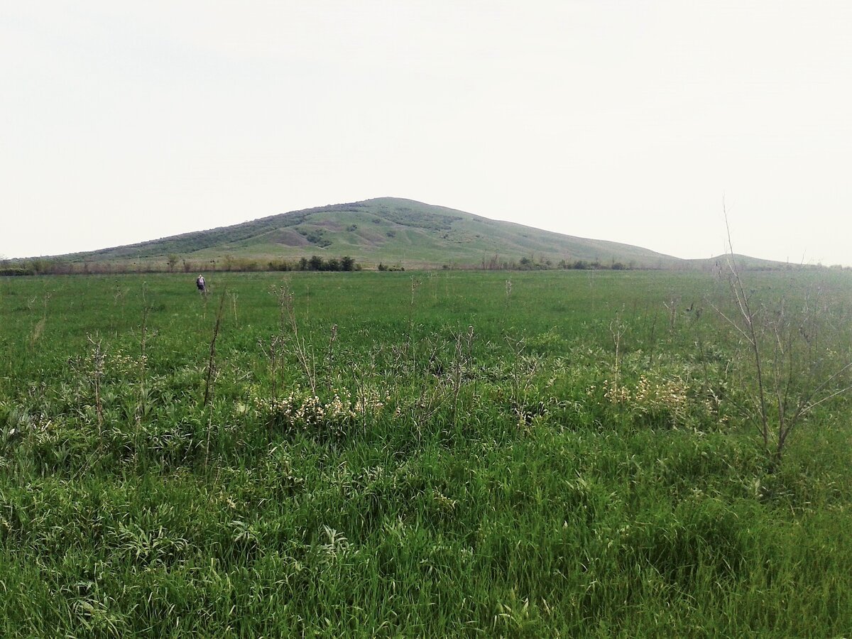 храм рождества пресвятой богородицы станица лысогорская. станица александрийская ставропольский край. станица лысогорская георгиевский. станица лысогорская георгиевский район. ст лысогорская георгиевского района ставропольского края.