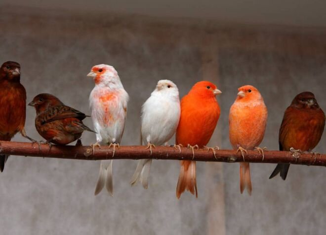 Источник фото: ladyland98.com