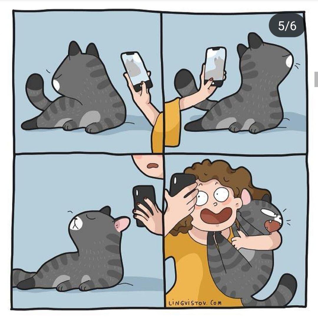 Комиксы про жизнь котов