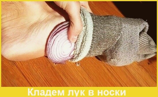 Здоровье, молодость, полезные советы, лук 