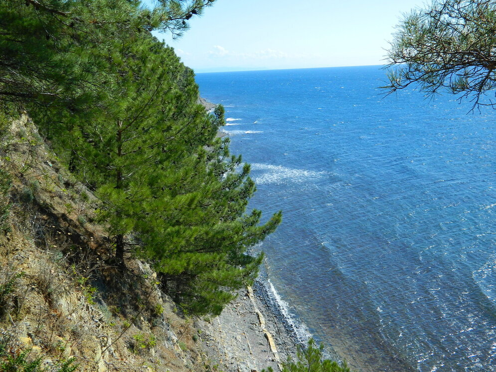 Черное море бетта. Бетта Краснодарский край. Бетта море. Посёлок Бетта Краснодарский край Баргузин. Бирюза Юг Бетта.