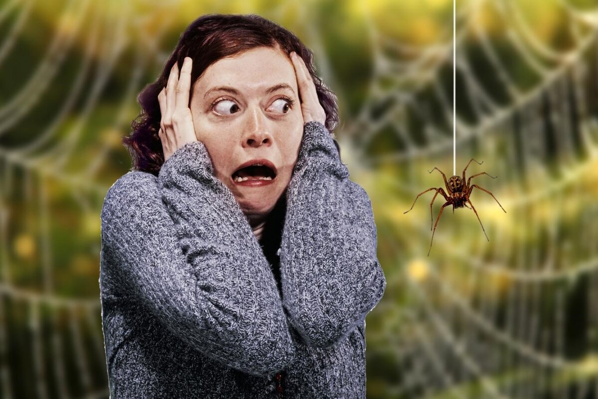изображение взято с сайта ru.toluna.com