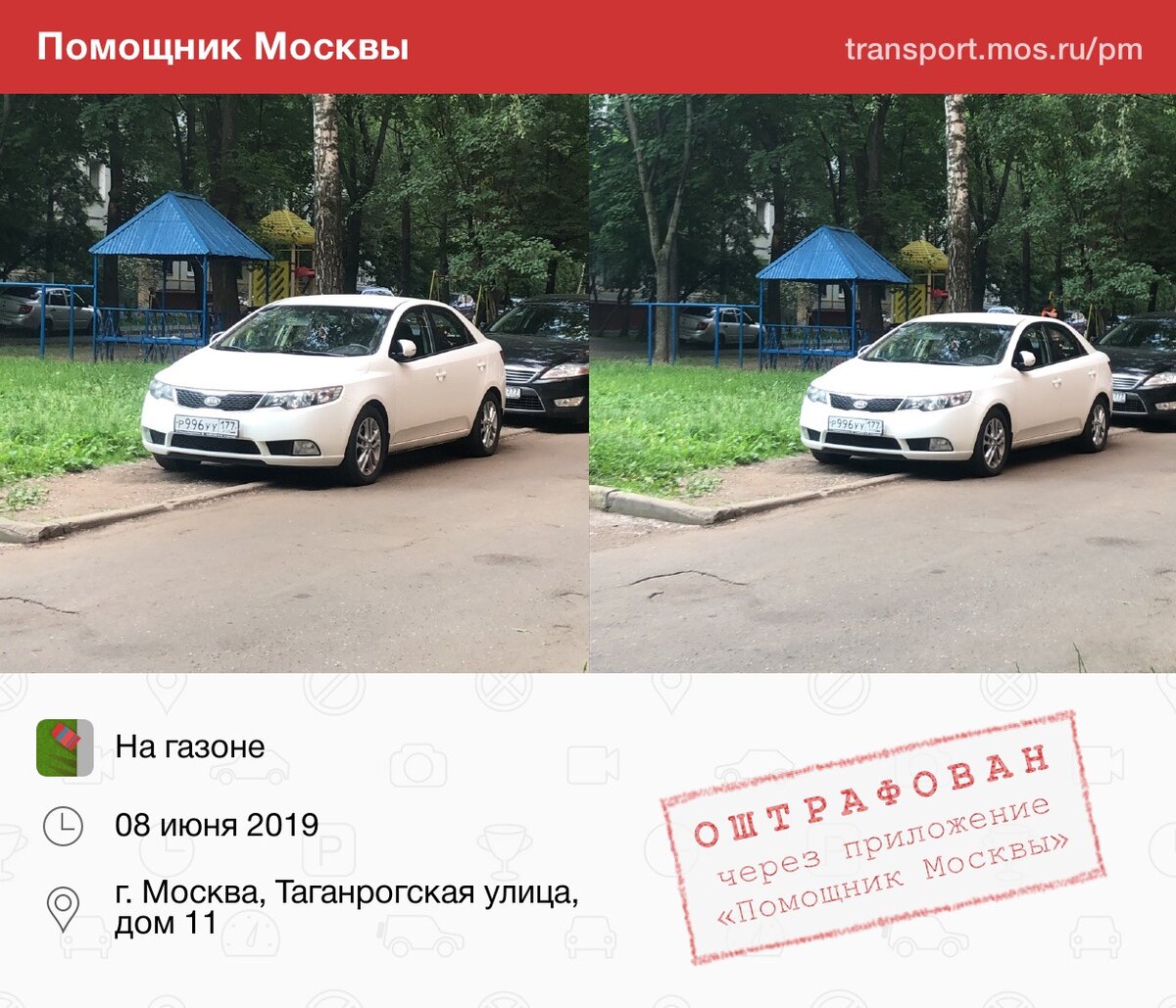 Карта газонов в москве мади