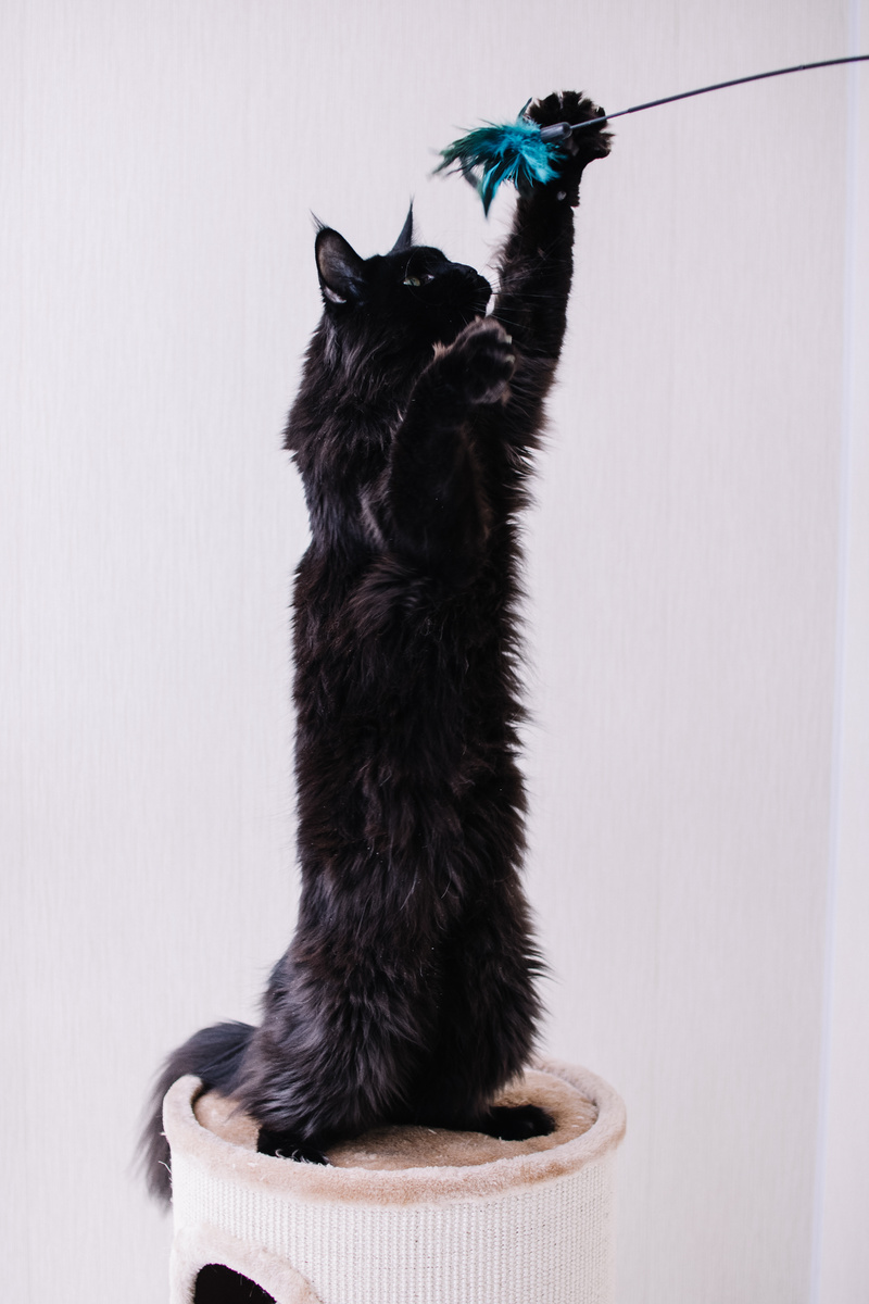 Одна из любимых 