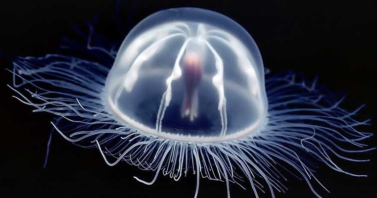 Фото с Яндекс картинки