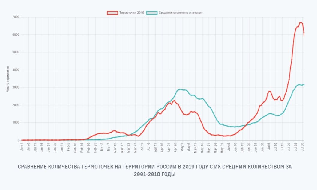 Источник: «Greenpeace России»