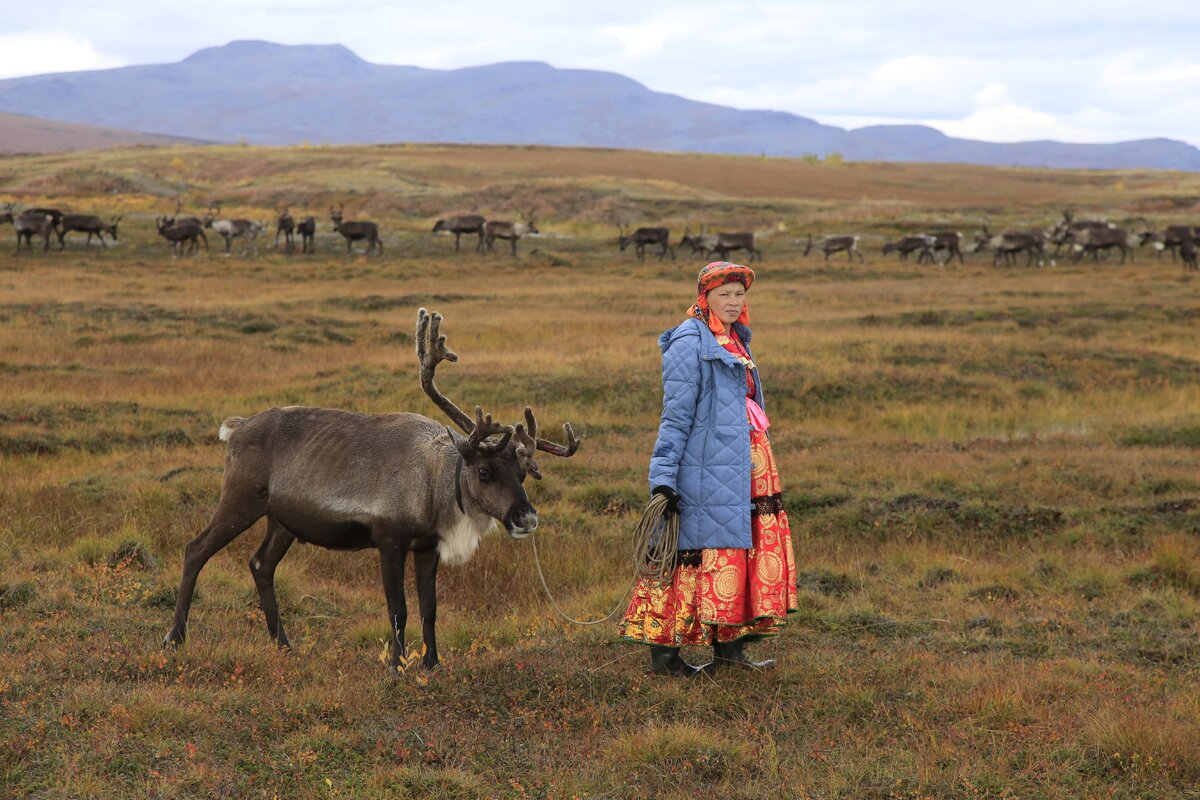 КРАСНЫЙ СЕВЕР