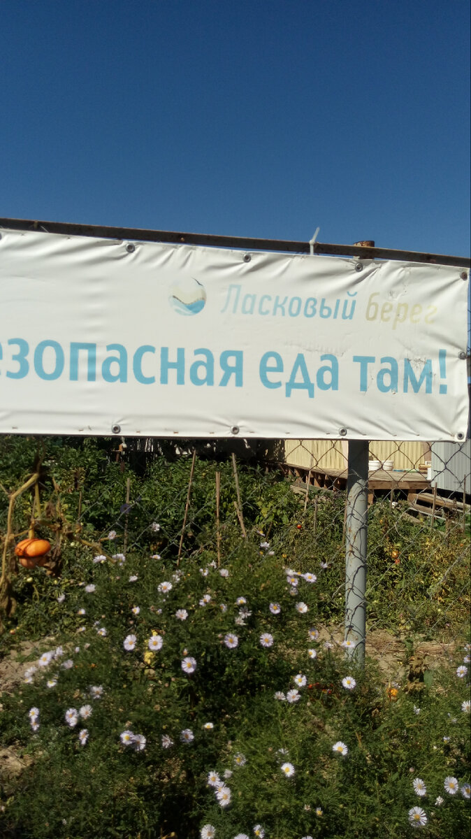 Безопасная еда. Детская столовая в Благовещенской