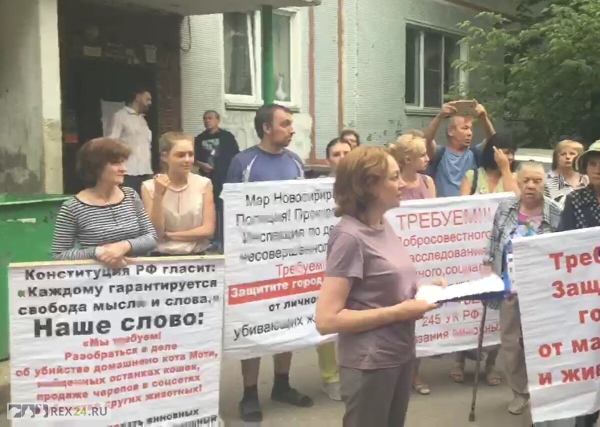 Фото: ВашГород.ru