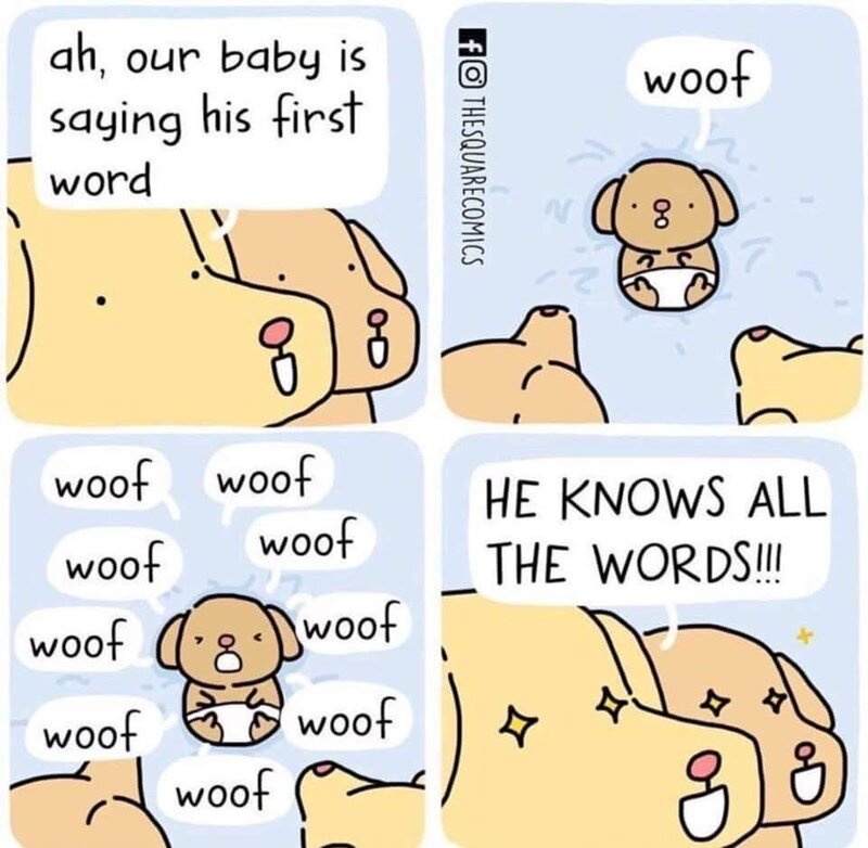 Ha! That's a funny meme