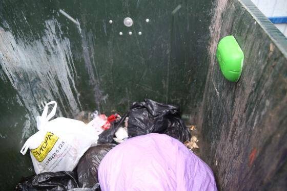 Фото: Данил Колосов / КРАСНЫЙ СЕВЕРВ 