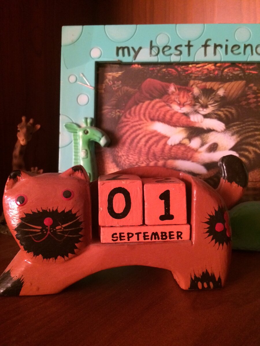 Мой Календарь-кот