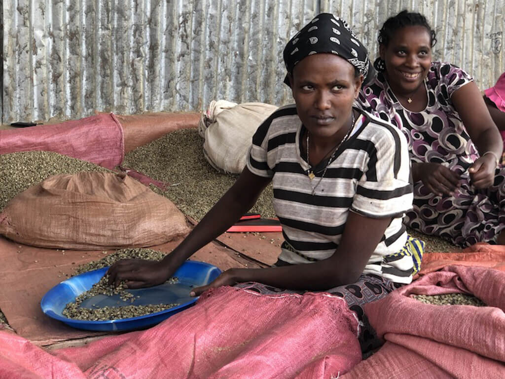 эфиопия сидамо плантации. русско африканская семья. земледелие в эфиопии. эфиопы народ африки. эфиопия сельскохозяйственные культуры.