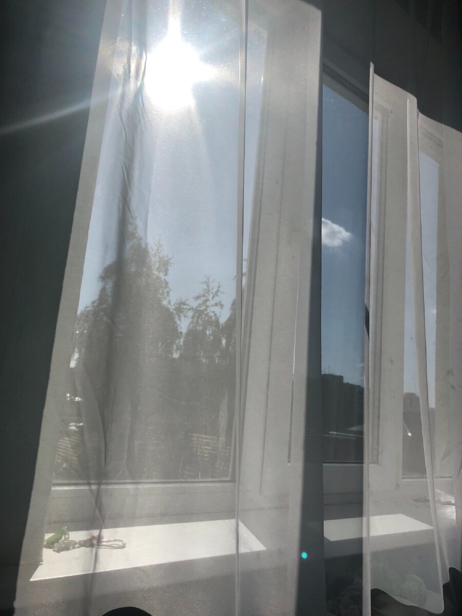 Мой вид из окна