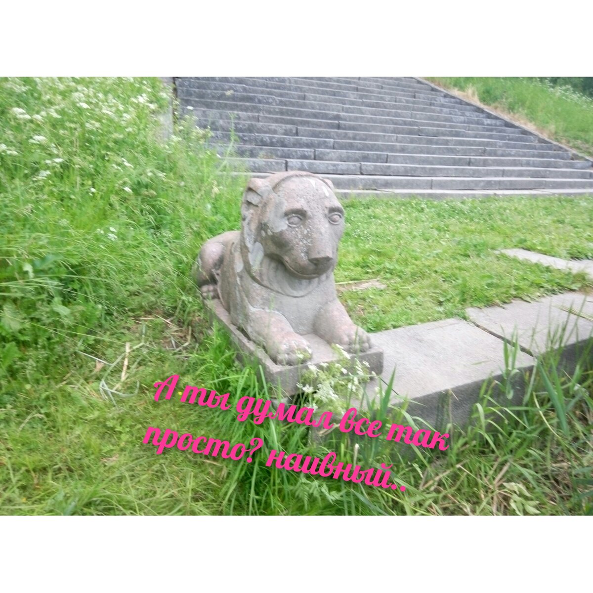 Спокойствие и терпение..