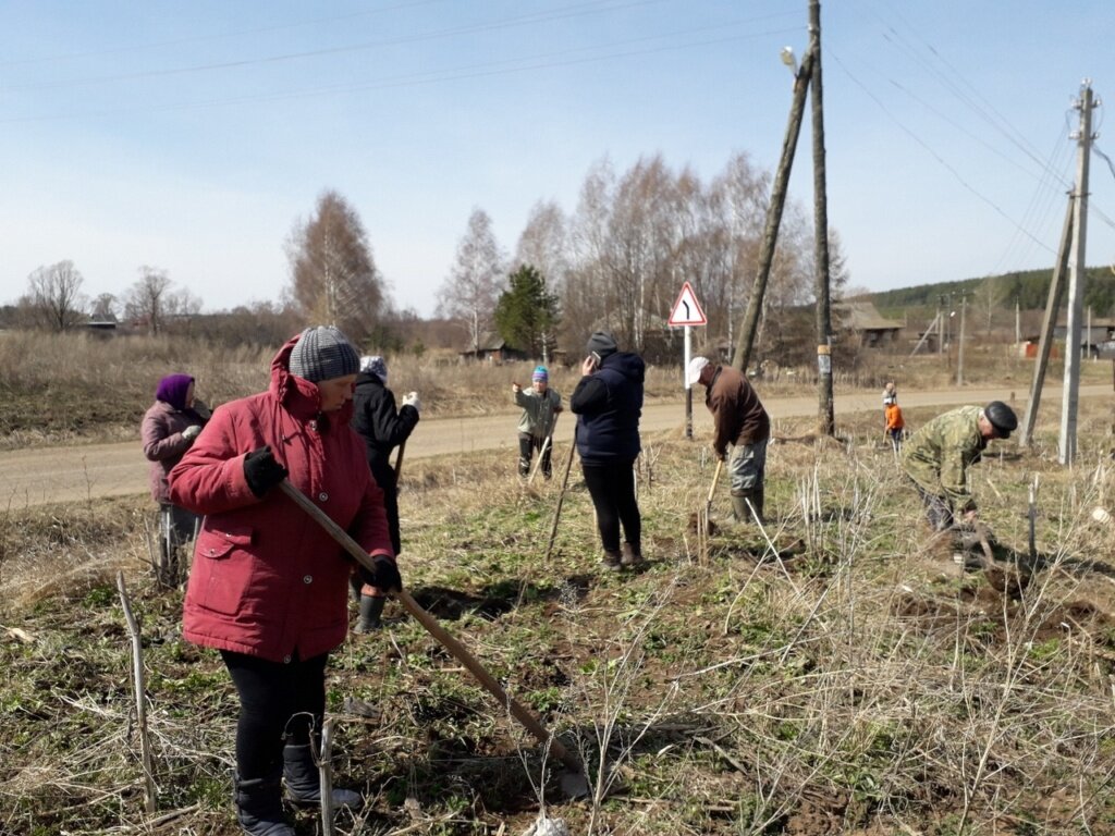 Жители деревни выкапывают борщевик на субботнике. Весна 2019 г.