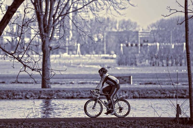 Фото: Pixabay.com 

