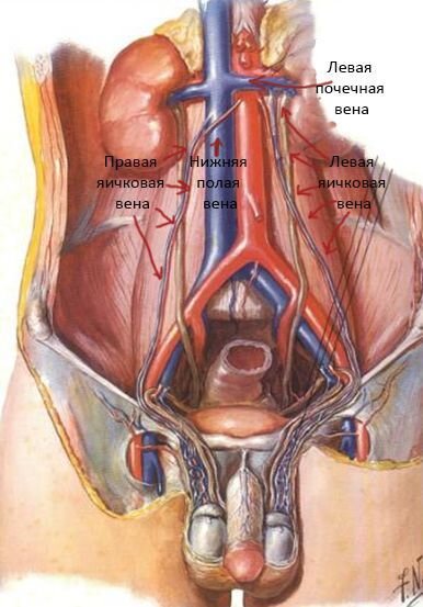 Лечение опухания яичек у мужчин