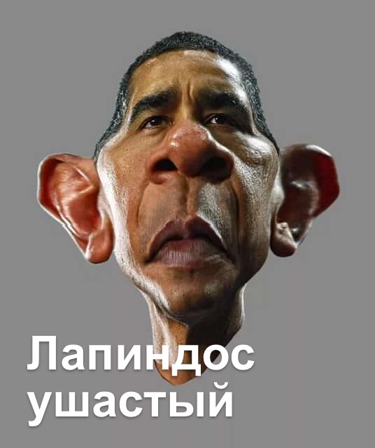 Источник: pinterest.com