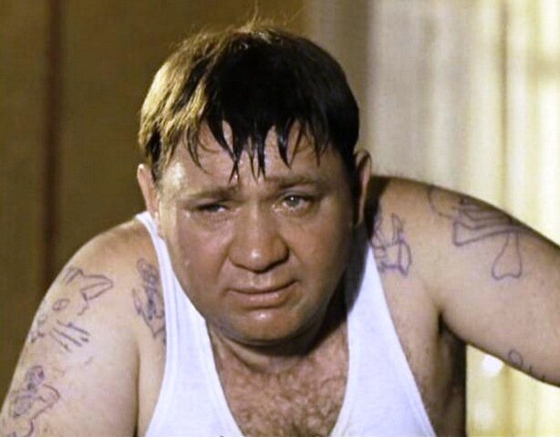 Кот на плече и бант