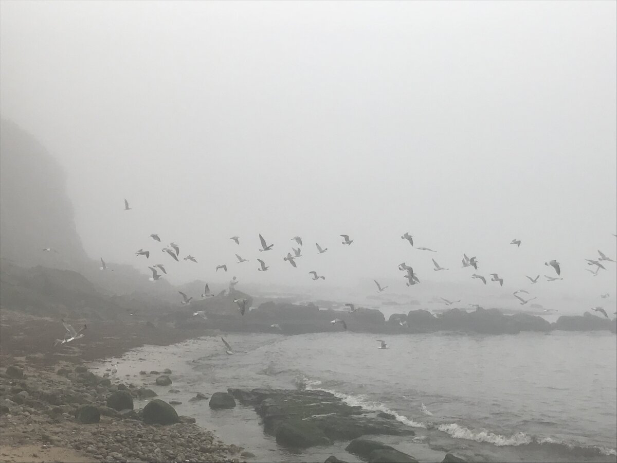 Эйрисейра, Португалия