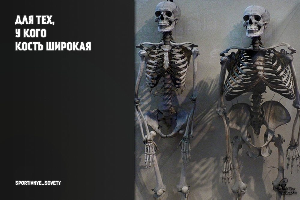 Широкая кость. Скелет с широкими костями. Скелет с широкой костью.