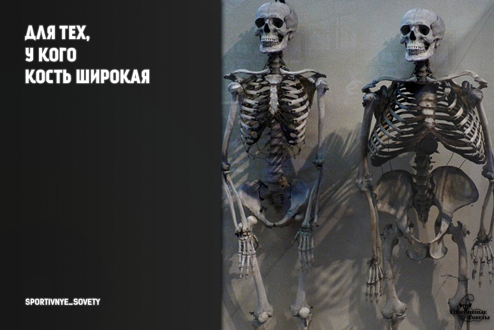 Я скелет. Широкая кость. Скелет с широкой костью. Скелет человека с широкой костью. Бывает ли широкая кость у человека.