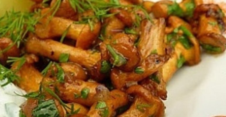 Рыжики с картошкой жареные рецепт. Рыжик на сковороде. Жареные рыжики. Рыжики жарить с картошкой. Грибы рыжики жареные.