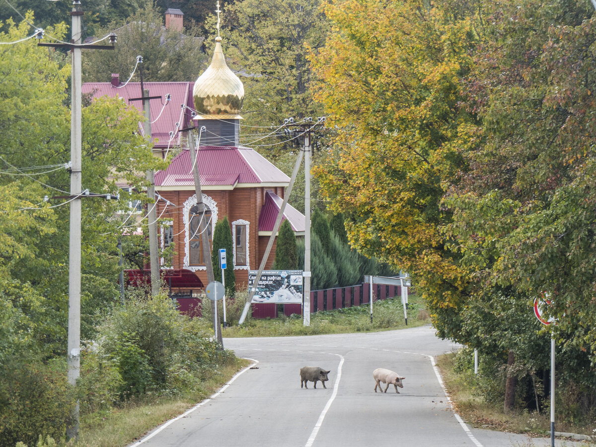 Храм Пантелеймона целителя Домбай