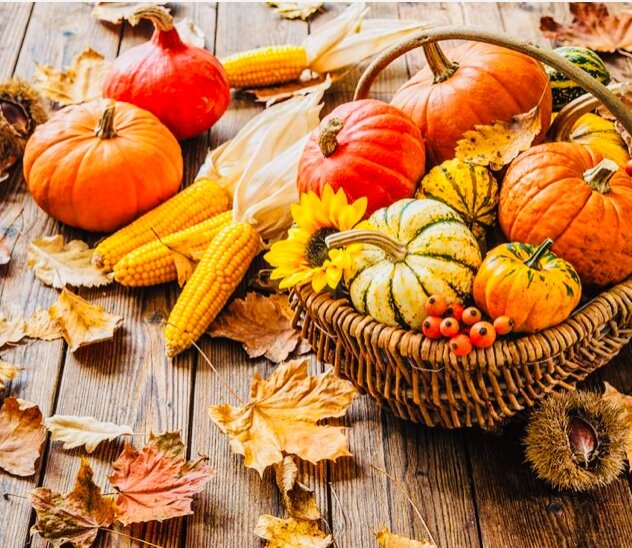 Тыква — главный продукт осеннего сезона. Если вы хотите укрепить здоровье и повысить защитные силы организма, то обязательно включите этот овощ в свой рацион.