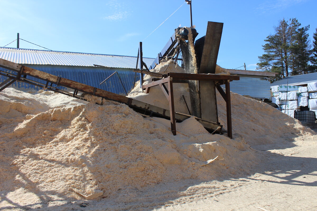 Древесные отходы на предприятии в Карелии